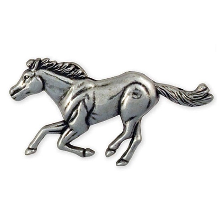 Concho cheval au galop