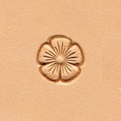 Matoir W531