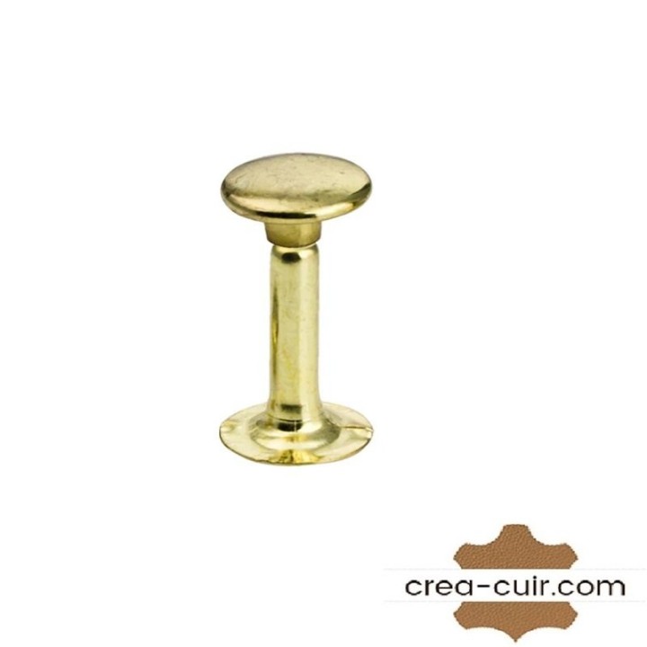 Lot de 100 rivets en acier laitonné de 8x13 mm pour l'assemblage de cuirs épais.
