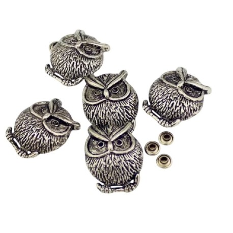 Concho hibou