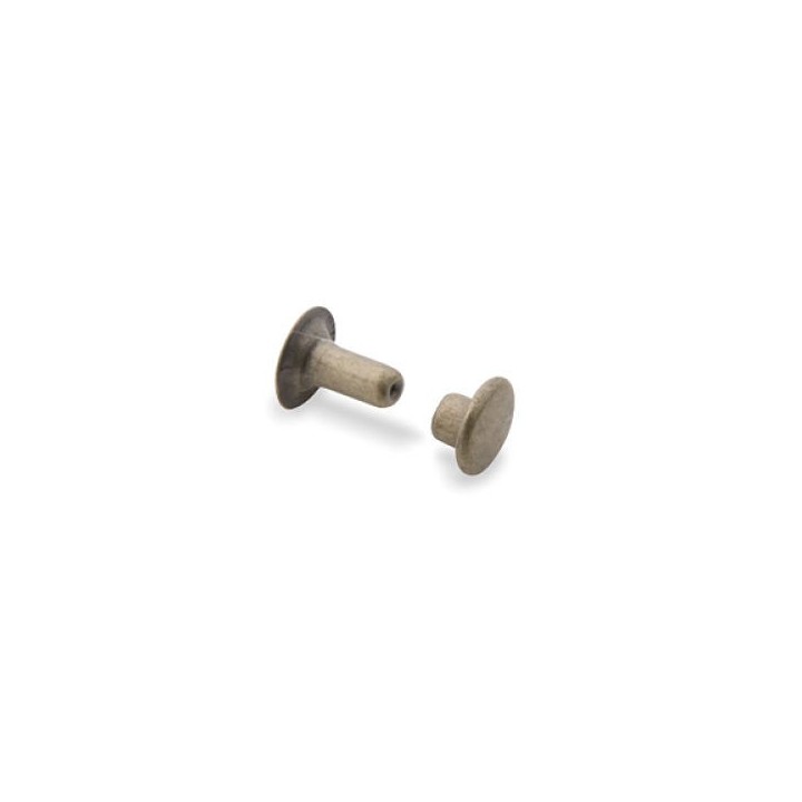 Gros plan d’un rivet à simple calotte en acier finition laiton vieilli, tête de 8 mm et longueur de 9,5 mm