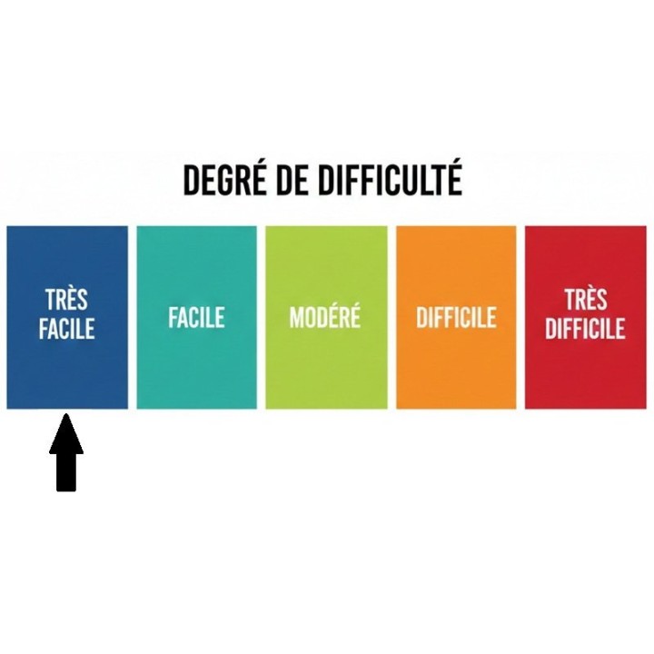 Niveau de difficulté patron