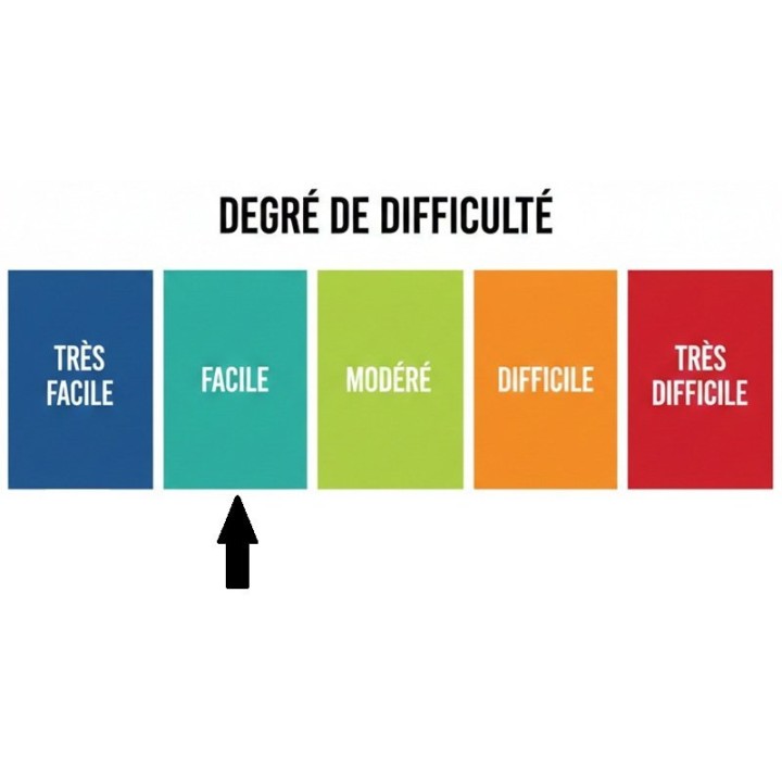 Niveau de difficulté patron facile