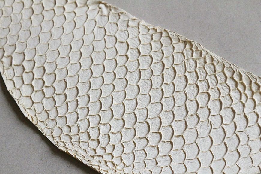Cuir de tilapia